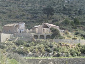 IMG_5056 (Medium)